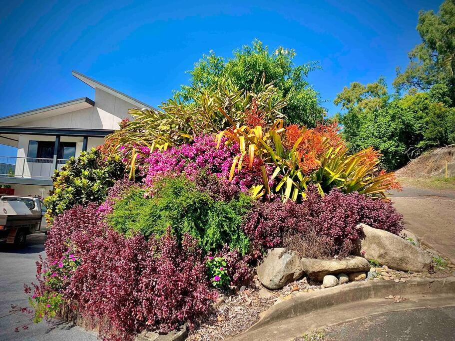Whitsunday Dreams Apartment Airlie Beach Exterior photo